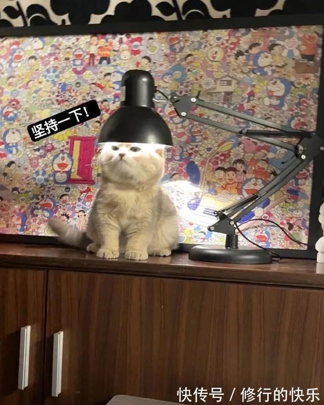 |冬至到底吃什么的终极答案 冷段子2018