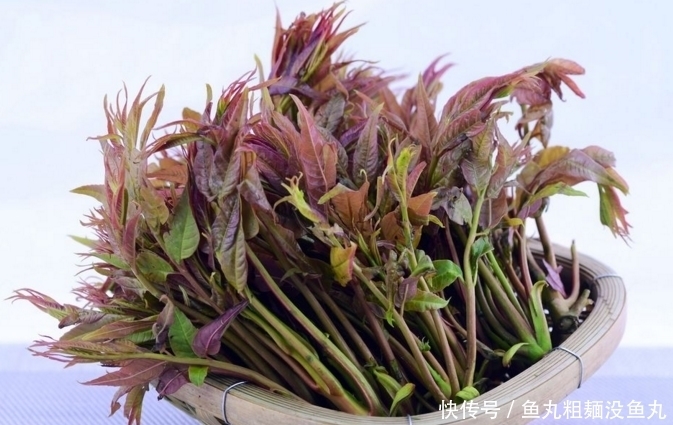 植物|这种植物被称为“药草皇后”,叶子泡水喝能清热解毒,败肝火