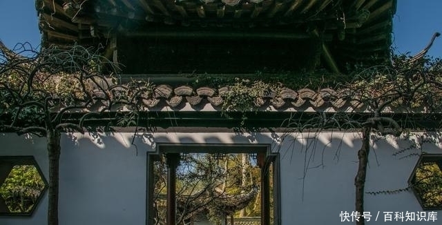 亭轩相依外曲池,佳木名花烂醉游客