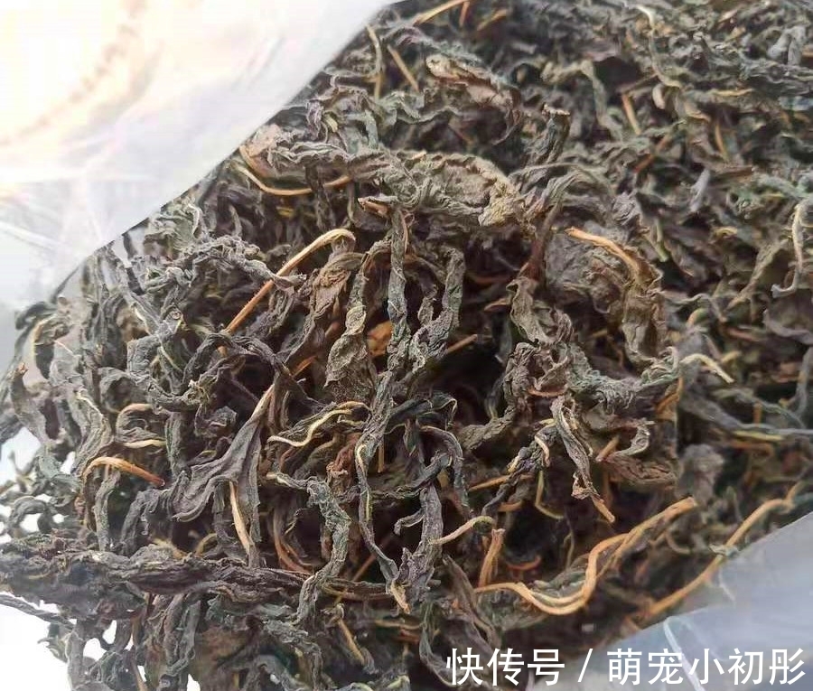 8月此菜正当时,人称“长寿菜”,10斤才能晒1斤,做面炖肉吃特香