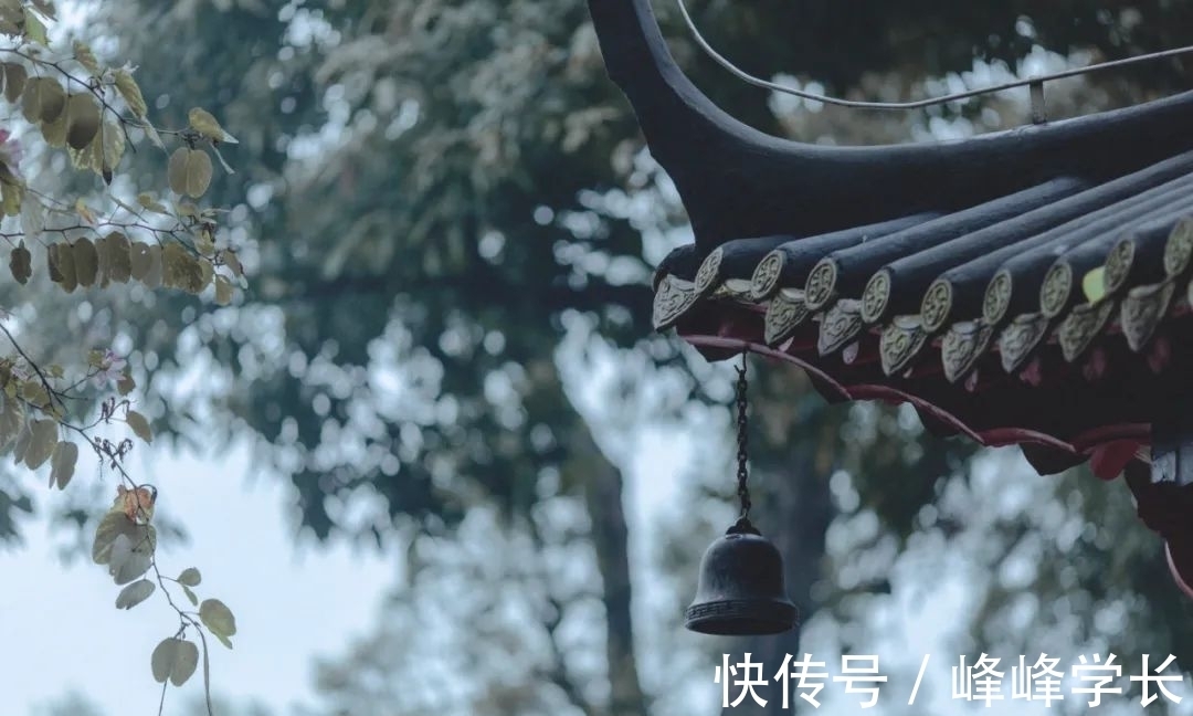 大丈夫#《后汉书》精选30句,以史为鉴知得失