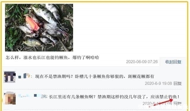 男子|长江该禁止钓鱼男子长江“疯钓”野生鳜鱼，引网友骂战
