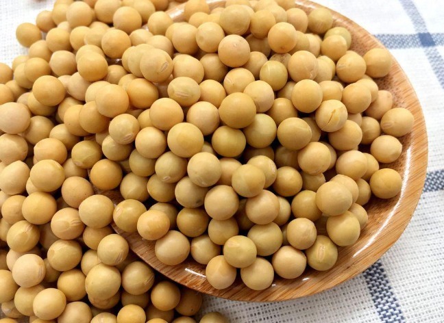 异黄酮|多吃以下2种“天然雌激素”，女性多吃防早衰，越来越有女人味