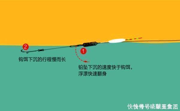 鱼口|钓鱼技巧:钓行程钓法的操作要点,学会这招,多种鱼情都能应付