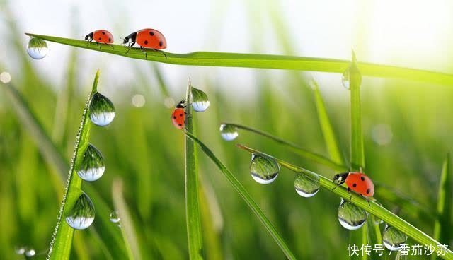 子女|人到晚年，愿意和子女一起生活吗？3个老年人说了大实话