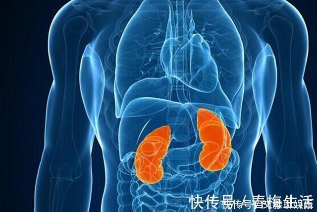 修复|一张修复“肾脏裂缝”的方子，三味药，坚持泡水，肾脏显年轻