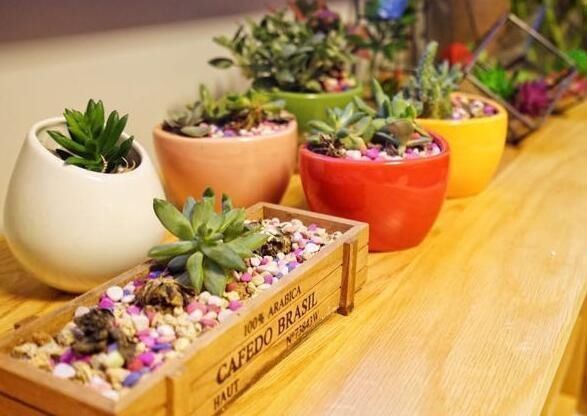 上门|婆婆三个月装修的房子,还在通风中,邻居天天上门参观