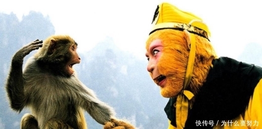 杀死|孙悟空并非不死之身,有种方式能杀死他,八戒不小心说漏了嘴