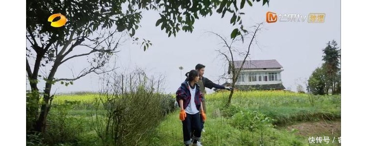 一季 太有梗,杨紫张艺兴贡献《向往》名场面,这一季的嘉宾真的找对了