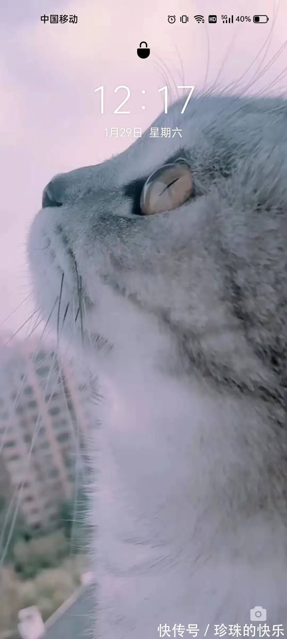 拜年|必存!新年拜年表情包丨第310期热门表情包