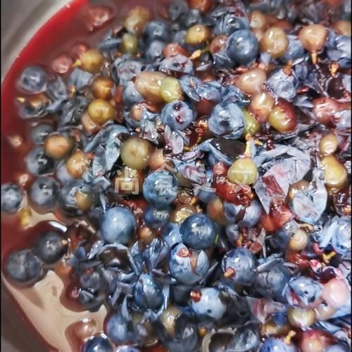 山葡萄|它是“天然助眠剂”,失眠的人睡前喝1杯,无梦睡到天亮