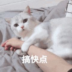 初舞臺天花板？學員狠話不斷？發起人互懟不停……創4首播今晚8點給你答案