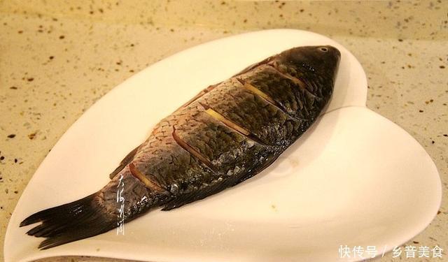 色拉油|它曾是“淡水鱼王”，因为名字不好被剔除四大家鱼，但美味无比！