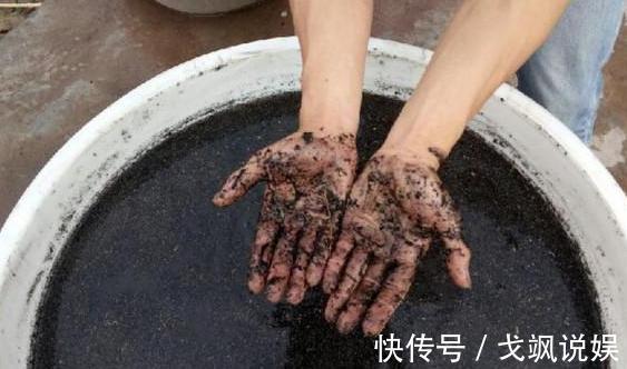 黄豆|用啥水浇花长得快、开花多、虫害少3个妙招,省时省钱又省力