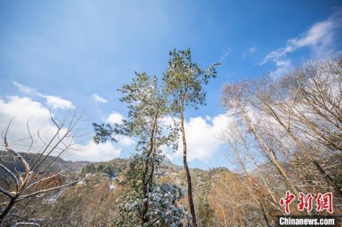 张浩钺|雪后初霁的浙江仙华山 惊艳了整个冬天