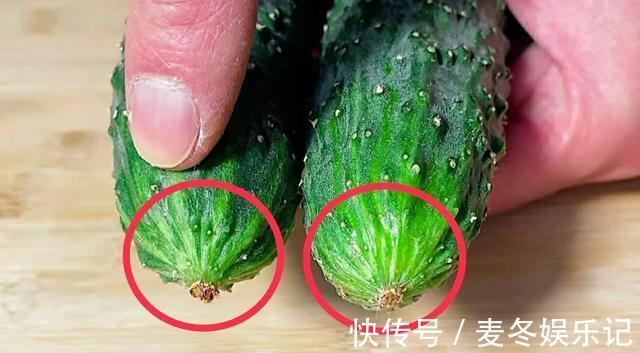 黄瓜|黄瓜打了激素如何辨别,看一眼这个位置就知道,老菜农方法真实用