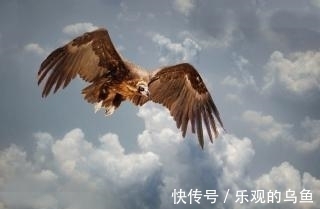 诗词|这五首经典古诗词:劝君不负春光,惜取少年时,值得收藏