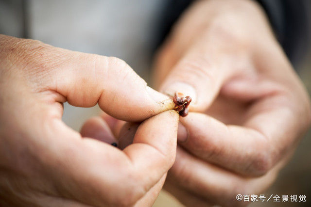 初春回暖垂钓依然有难度，不掌握这些技巧，爆护是不可能的