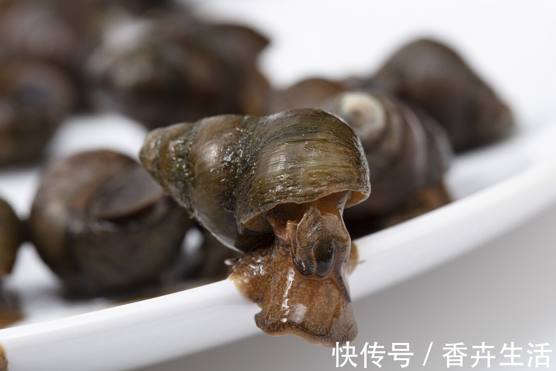 味料|清洗田螺，不要只会放盐，多加一味料，田螺狂吐沙，又快又彻底