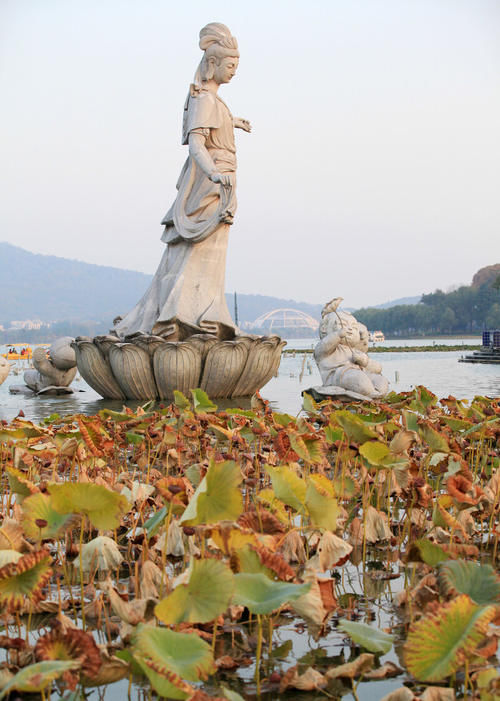 南京玄武湖，大面积结冰！这么多年都少见