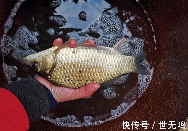 冬天|浅谈冬天大温差天气垂钓，留意规律，好鱼获不难