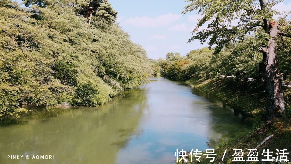 青森|日本青森夏日祭--神秘而热闹的睡魔祭