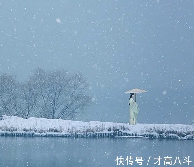 为你而来$苏轼：总有一场雪，为你而来