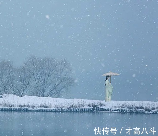 为你而来$苏轼:总有一场雪,为你而来