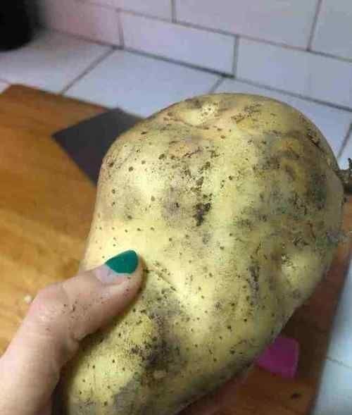 鸡身上最脏的部位，里面含有大量金属，白给都不要，一般人不知道