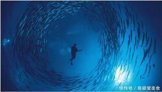 砖头 把一块砖扔进马里亚纳海沟,多久到海底砖头会不会被压碎