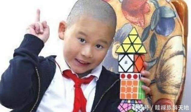 幼儿园|9岁男孩智商高达146,成我国儿童里“最高”,其母亲的做法很关键