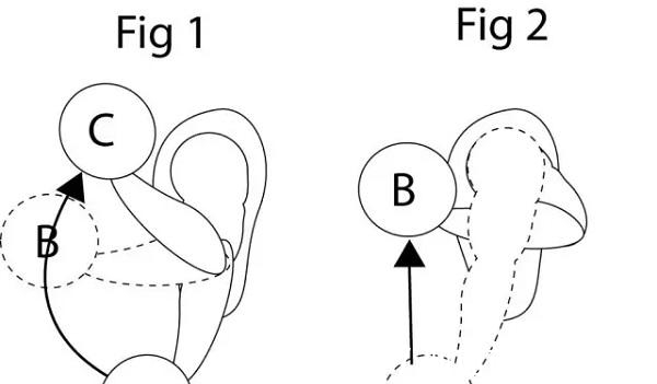 拖拽式|肱二头肌训练没感觉?老派弯举动作——拖拽式弯举!非常值得一试