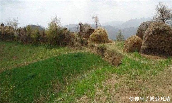 传给|将皇位传给弟弟,墓陵在后世多次被人洗劫,现在被隐匿在麦田里