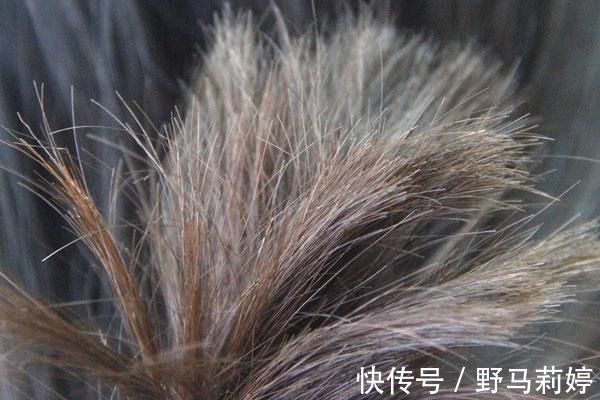 体质|女性身体上如果有几个信号，并不是体质的原因，事实上是你气血虚