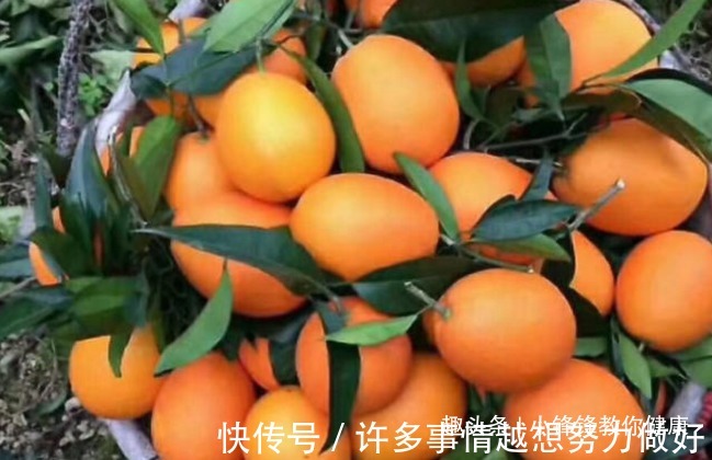 抵抗力|长寿老人爱吃的此种食物,降低血脂血压、提高人体的抵抗力