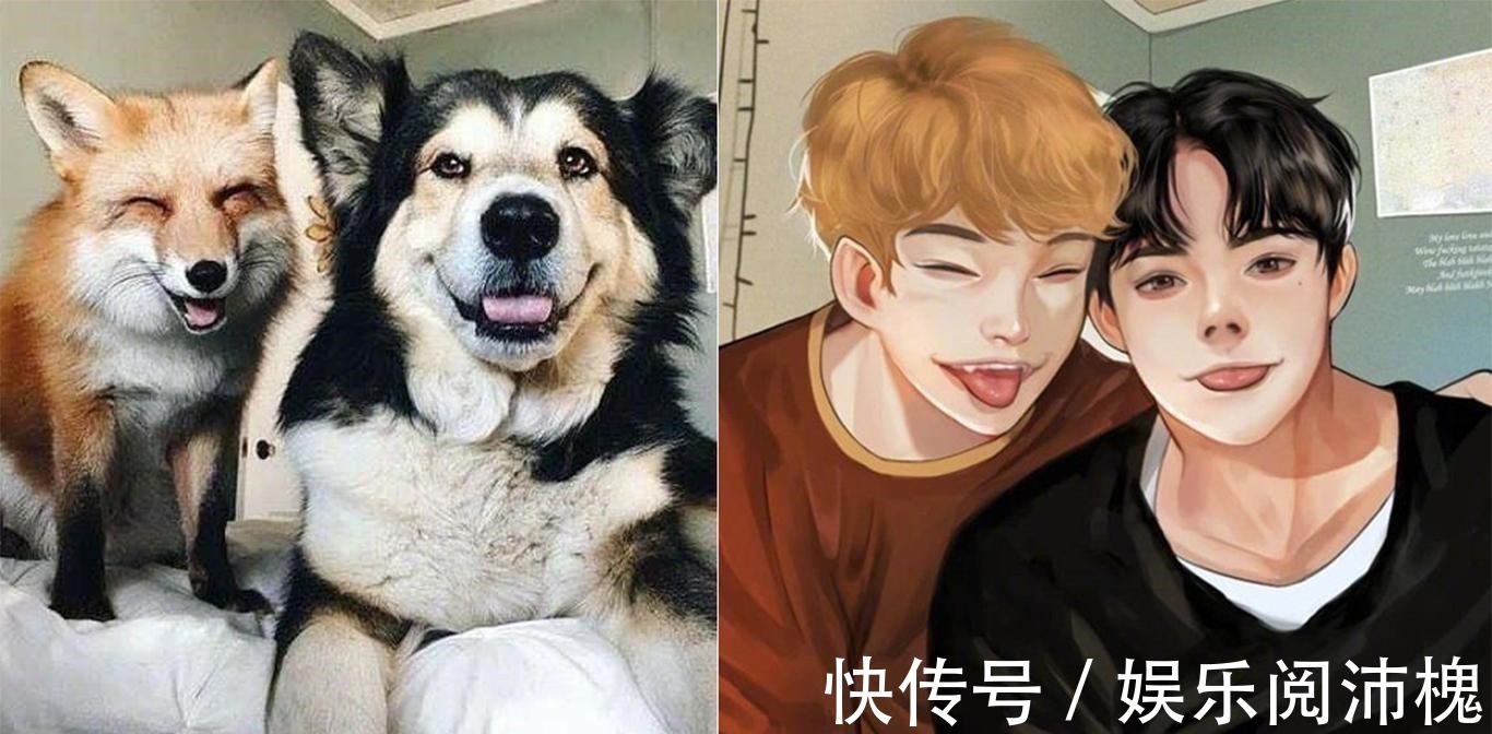 当动物被画师二次元化,可盐可甜可帅气,还是纸片人更让人心动