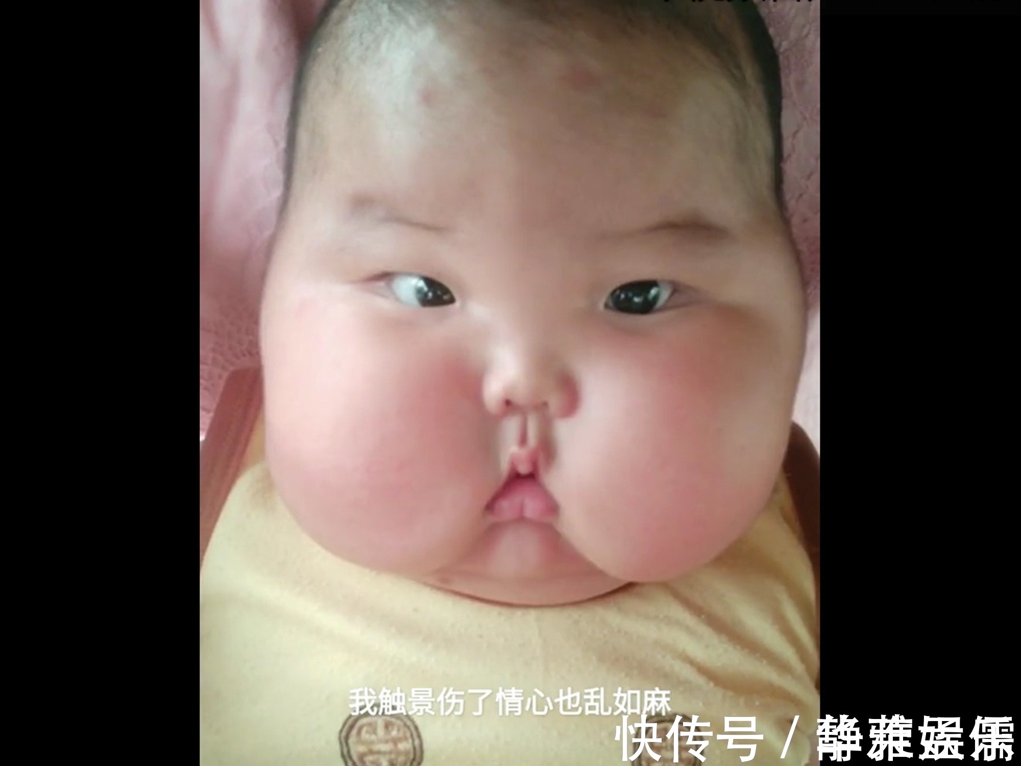 宝宝|宝宝小时候胖嘟嘟,长大一点变成了这样,网友:没变的是福相