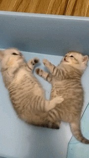 |搞笑GIF段子:军训中遇到的妹子,我是不是该提前出手了?