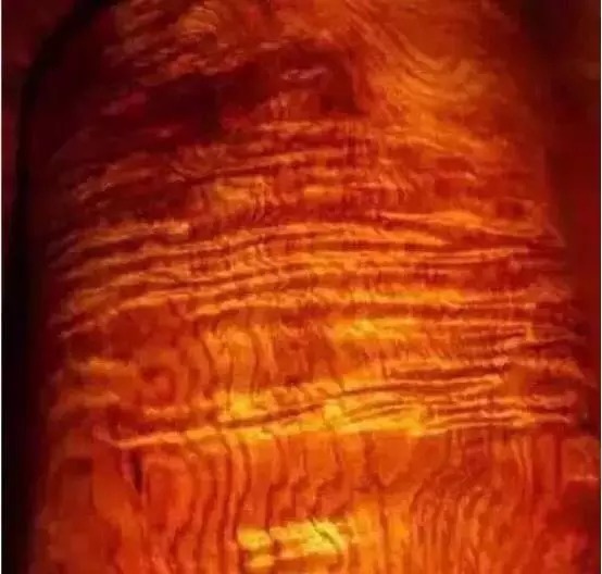  不止|冒充海黄的玩意儿，可不止紫檀柳！