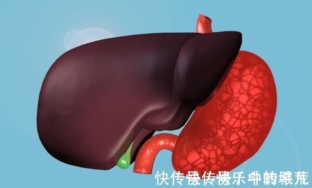 养肝|吃香蕉到底是养肝还是伤肝?2物建议少吃,或可养肝