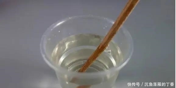 扦插|生根剂不用买，用家家都有的“小东西”，2分钟就能制出来