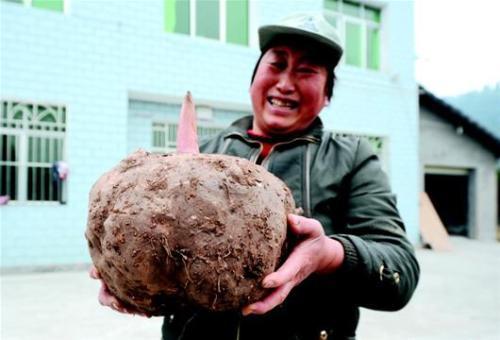 维生素b|一种纯天然的减肥食物,隔三差五吃一盘,清肠排毒,降糖降脂