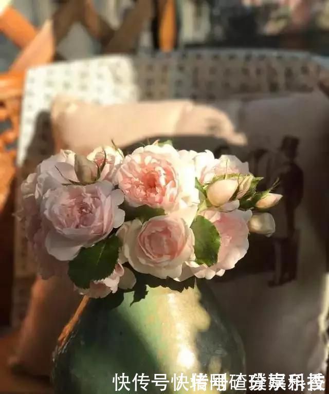 两个孩子的妈妈,利用空闲时间,在露台打造出一片花的海洋