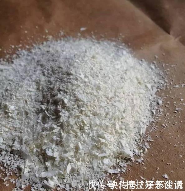 植物|用过的蛋壳能养花错了,难怪花越开越少,专家告诉你原因