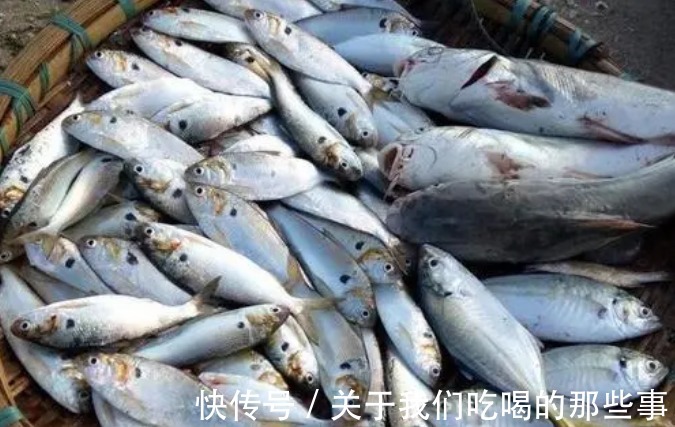 黄姑鱼|喜欢吃鱼,认准6种海鱼买,人工养不了,肉质鲜嫩营养高,无污染放心吃