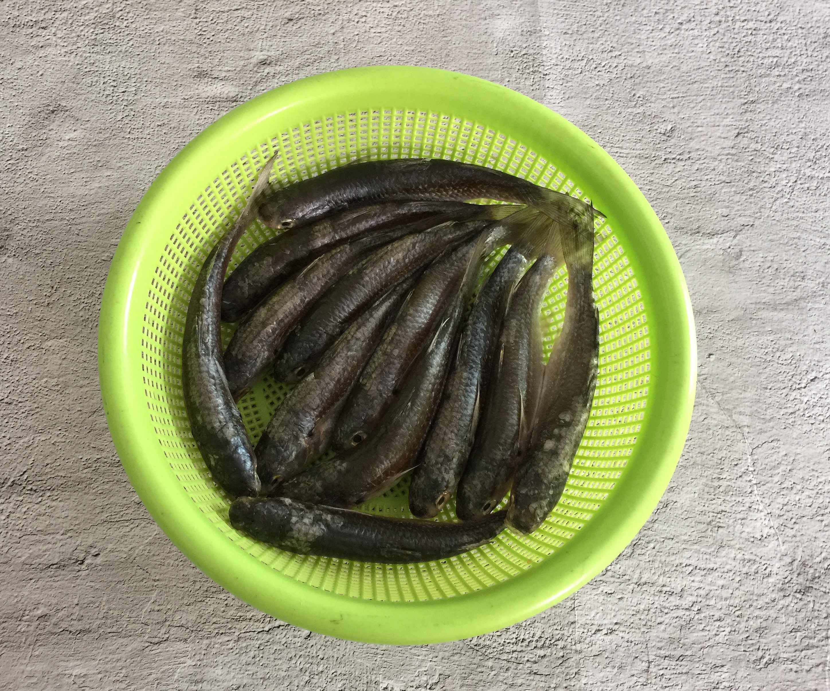 冬天，少吃牛羊肉多吃它，营养丰富还便宜，几块钱一斤，老少皆宜