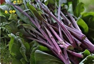 排毒养颜|每天晚上多吃三种食物，营养丰富、延缓衰老，好吃又不贵！