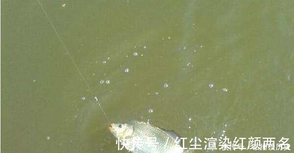 风浪|野钓鲫鱼时,一旦遇到这3种情况,老钓友第一反应:马上调整