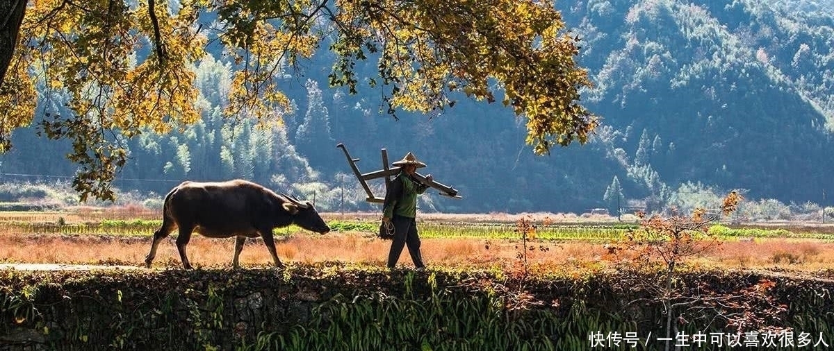 艺高人&苏轼的一首即兴之作,堪称千古奇诗,第一遍能读准确就服你!