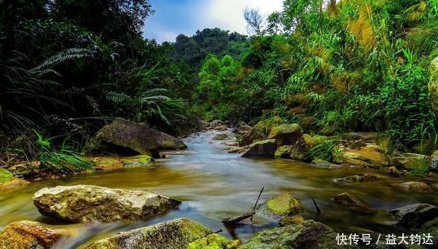 秀美山谷的春色,尽在一首无题诗中,无一个情字,而又字字关情